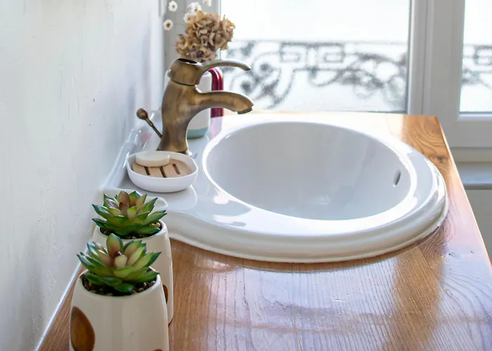 Particulier Remois Proche Cathedrale * Reims