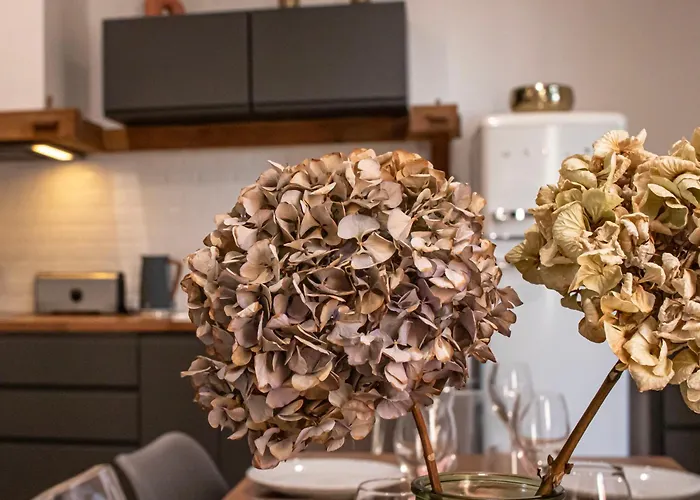 Particulier Remois Proche Cathedrale Reims